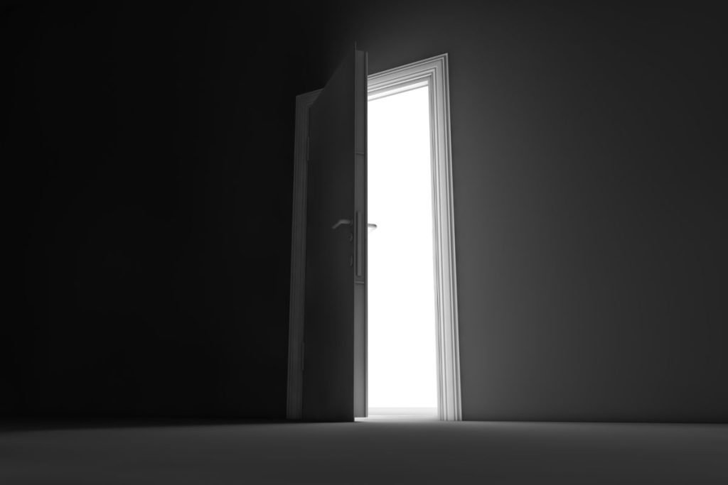 Elimina puertas traseras